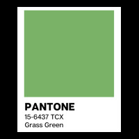 Pantone Grass Green Poster Nostalgia Lightweight Hoodie | Artistshot