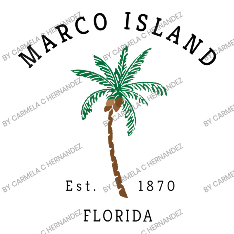 Marco Island Florida Youth Hoodie by Carmela C Hernandez | Artistshot