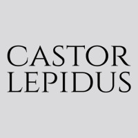 Castor Lepidus   Nice Beaver   Ambiguous Adult Humor   Latin T Shirt Women's Triblend Scoop T-shirt | Artistshot