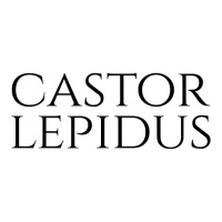 Castor Lepidus   Nice Beaver   Ambiguous Adult Humor   Latin T Shirt Youth Hoodie | Artistshot