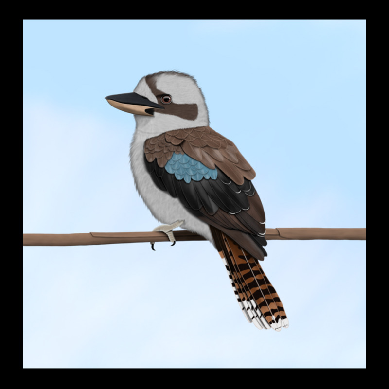 Kookaburra Vogel Zeichnung Biologe Vogelfreund Tierfreund Ornithologe  Cropped Sweater by TERRYPOWELL | Artistshot