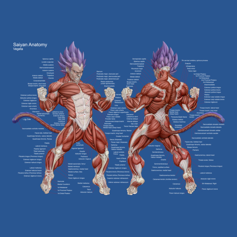 Saiyan Anatomy   Vegeta   Fb   Red   Bbg T-shirt | Artistshot