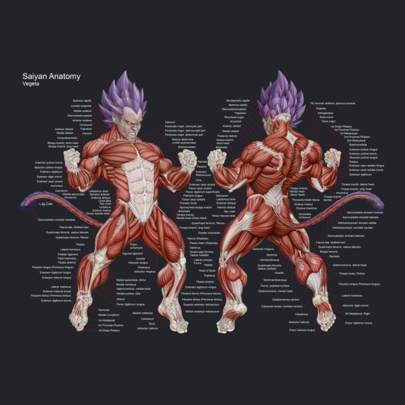 Saiyan Anatomy   Vegeta   Fb   Red   Bbg Lightweight Hoodie | Artistshot