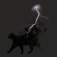 Black Cat Lightning And Metal Ladies Fitted T-shirt | Artistshot