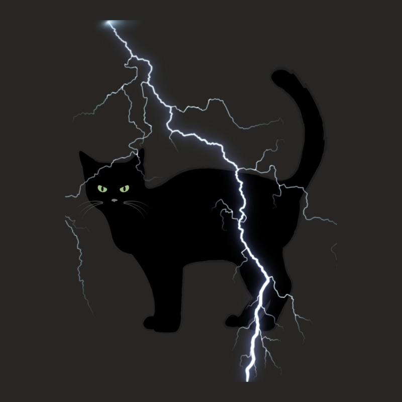 Cat Lightning Ladies Fitted T-Shirt by CAMMIGRAHAM | Artistshot