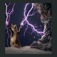 Cat Lightning  Lightning Cat Women's Triblend Scoop T-shirt | Artistshot