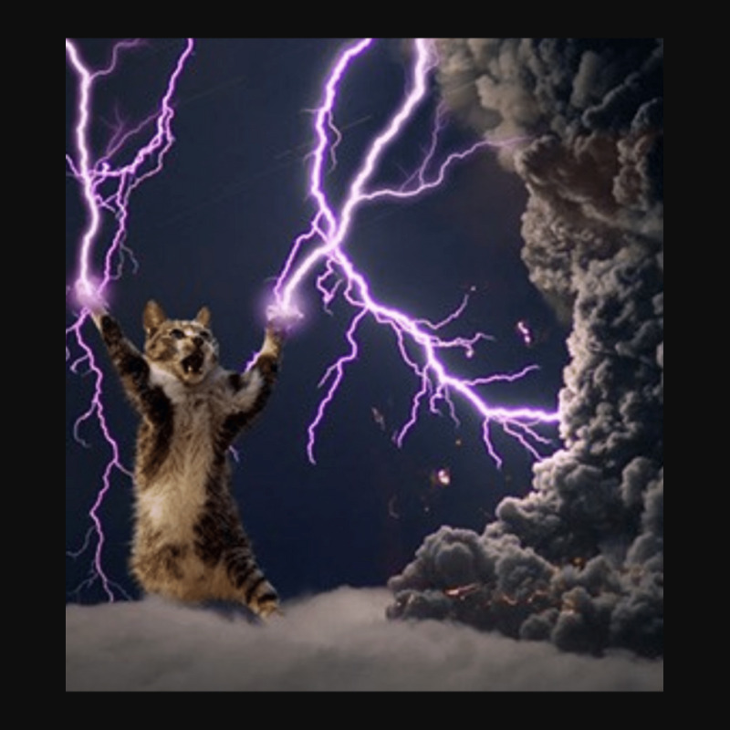 Cat Lightning  Lightning Cat Crop Top by CAMMIGRAHAM | Artistshot