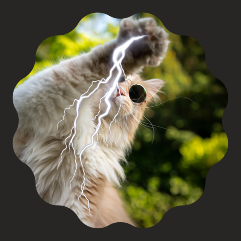 Cat Lightning Of A Cute Persian Cat With White Lightning Paws  Cat Art Ladies Fitted T-Shirt by CAMMIGRAHAM | Artistshot