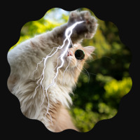 Cat Lightning Of A Cute Persian Cat With White Lightning Paws  Cat Art Crop Top | Artistshot