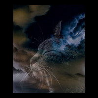 Cat Lightning Of A Cute Tabby Cat Amongst The Dark Clouds And Thunder  Pocket T-shirt | Artistshot