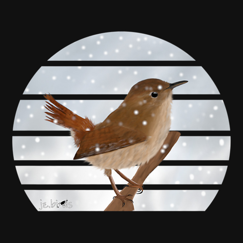 Wren Bird Snow Birdlover Birdwatcher Animal Biologist Premium Graphic Youth T-shirt by JosephWDaniels | Artistshot