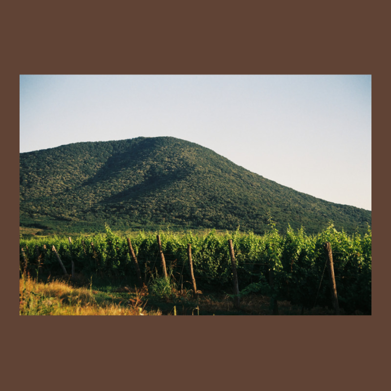 Hill With The Vineyard  Classic  Summer Green T-shirt | Artistshot