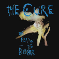 Head On The Door Graphic T-shirt | Artistshot