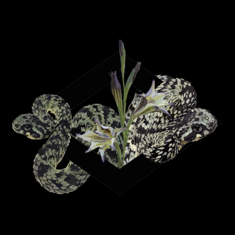 Atheris Squamigera “tiger” And Gladiolus In A Black Diamond Unisex Jogger by JodyBanda | Artistshot