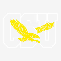 Coppin State Eagles Youth 3/4 Sleeve | Artistshot