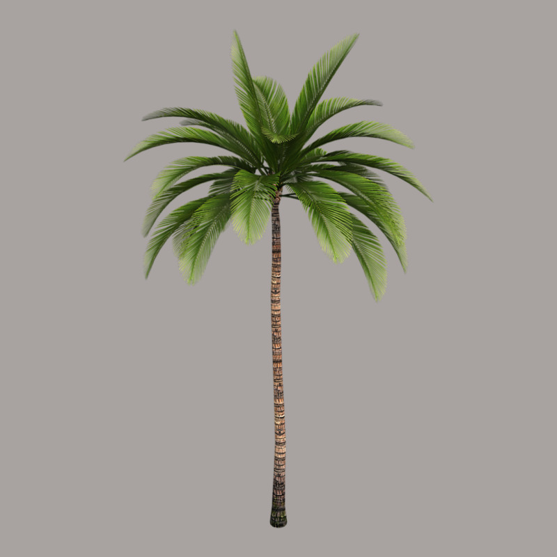 Limited Edition Tropical Palm Tree Racerback Tank by fenderbendable | Artistshot