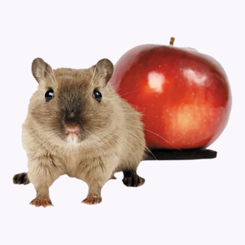 Hamster And Apple Tank Top | Artistshot