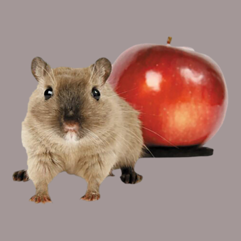 Hamster And Apple Vintage Short | Artistshot