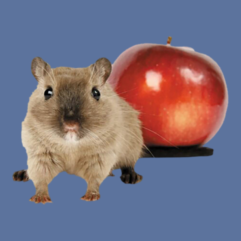 Hamster And Apple Lightweight Hoodie | Artistshot