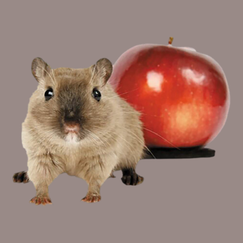 Hamster And Apple Vintage T-shirt | Artistshot