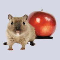 Hamster And Apple Fleece Short | Artistshot