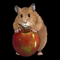 Hamster With Big Red Apple, Original Illustration, Cute Animal, Fruit Fleece Short | Artistshot