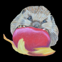 Outlined Hamster With An Apple Lightweight Hoodie | Artistshot