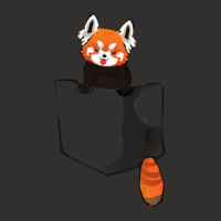 Red Panda In A Pocket Champion Hoodie | Artistshot