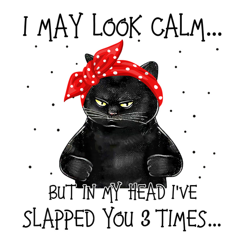I May Look Calm In My Head I've Slapped You 3 Times Cat T Shirt Stainless Steel Water Bottle By ...