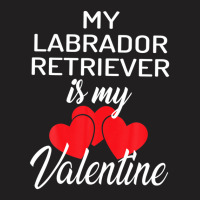 My Labrador Retriever Is My Valentine Valentines Day T-shirt | Artistshot