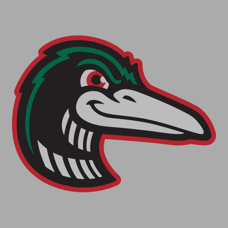 Great Lakes Loons T-shirt | Artistshot