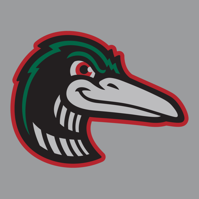 Great Lakes Loons Classic T-shirt | Artistshot