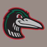 Great Lakes Loons Vintage T-shirt | Artistshot