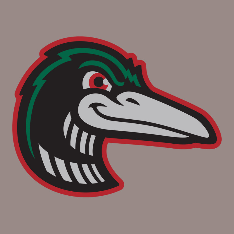 Great Lakes Loons Vintage T-shirt | Artistshot