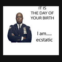 Captain Holt Birthday B99 Poster Tumblr (1) Graphic T-shirt | Artistshot