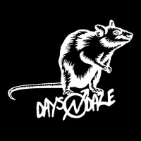 Mouse Animal Days N' Daze Folk Punk Music Women's V-neck T-shirt | Artistshot