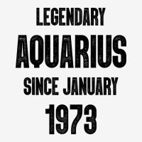 Aquarius Birthday January 1973 Travel Mug | Artistshot