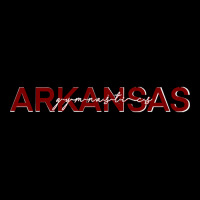 Arkansas Gymnastics V-neck Tee | Artistshot