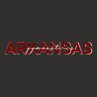 Arkansas Gymnastics Champion Hoodie | Artistshot