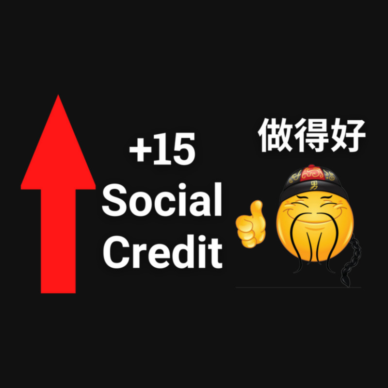 + 15 Social Credit Meme Plus 15 Chinese Social Credit Points China So ...