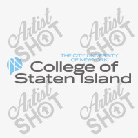 College Of Staten Island Vectorized Ladies Fitted T-shirt | Artistshot