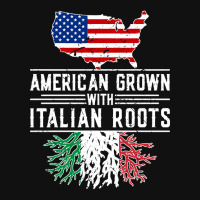 American Grown Italian Roots Pride Italy Graphic T-shirt | Artistshot