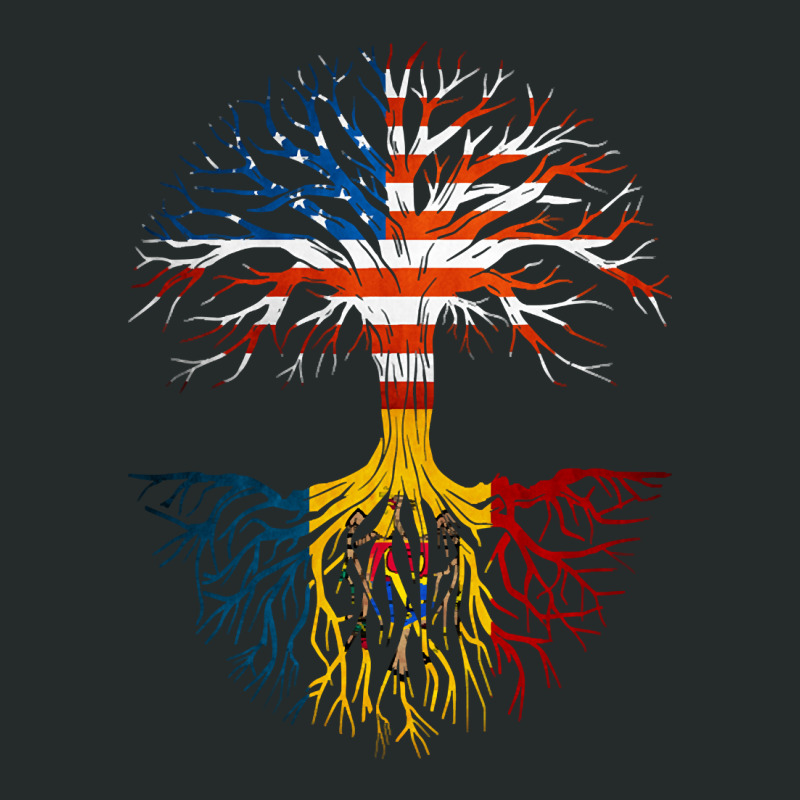 American Grown Moldovan Roots Moldova Flag Usa Flag Women's Triblend Scoop T-shirt by genuinelyseriously4 | Artistshot