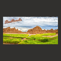 Badlands National Park-zmzk7 Champion Hoodie | Artistshot