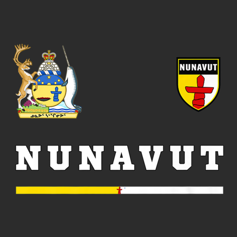 Nunavut Soccer/sports Flag National Pride Gift Exclusive T-shirt by martiamuracit | Artistshot