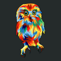 Owl In Pop Art Women's Triblend Scoop T-shirt | Artistshot