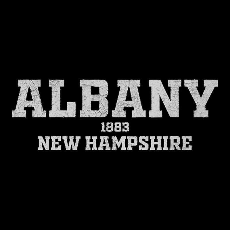 Albany New Hampshire Pocket T-Shirt by ternacanuda | Artistshot