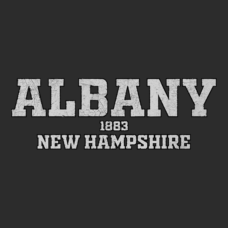 Albany New Hampshire Exclusive T-shirt by ternacanuda | Artistshot