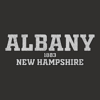 Albany New Hampshire Champion Hoodie | Artistshot