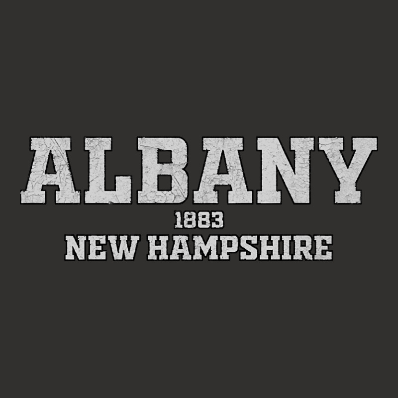 Albany New Hampshire Champion Hoodie by ternacanuda | Artistshot